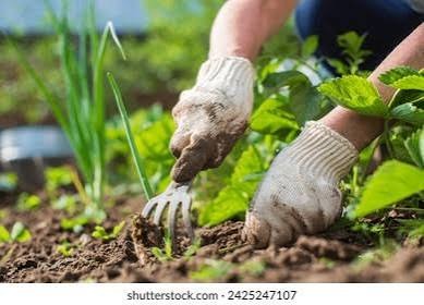 Soil preparation