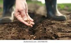 Sowing & planting