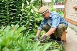 Weeding & bed care