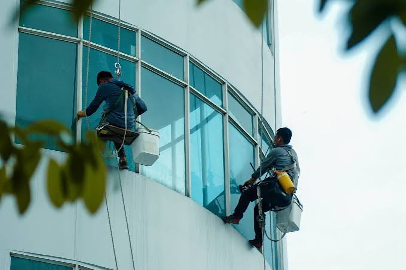 Cleaners on ropes washing the glass of a tall building