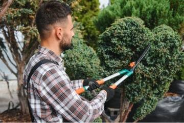 Hedge & Tree Care