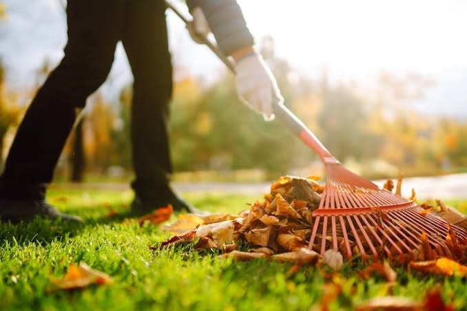 Seasonal Displays & Clean-up
